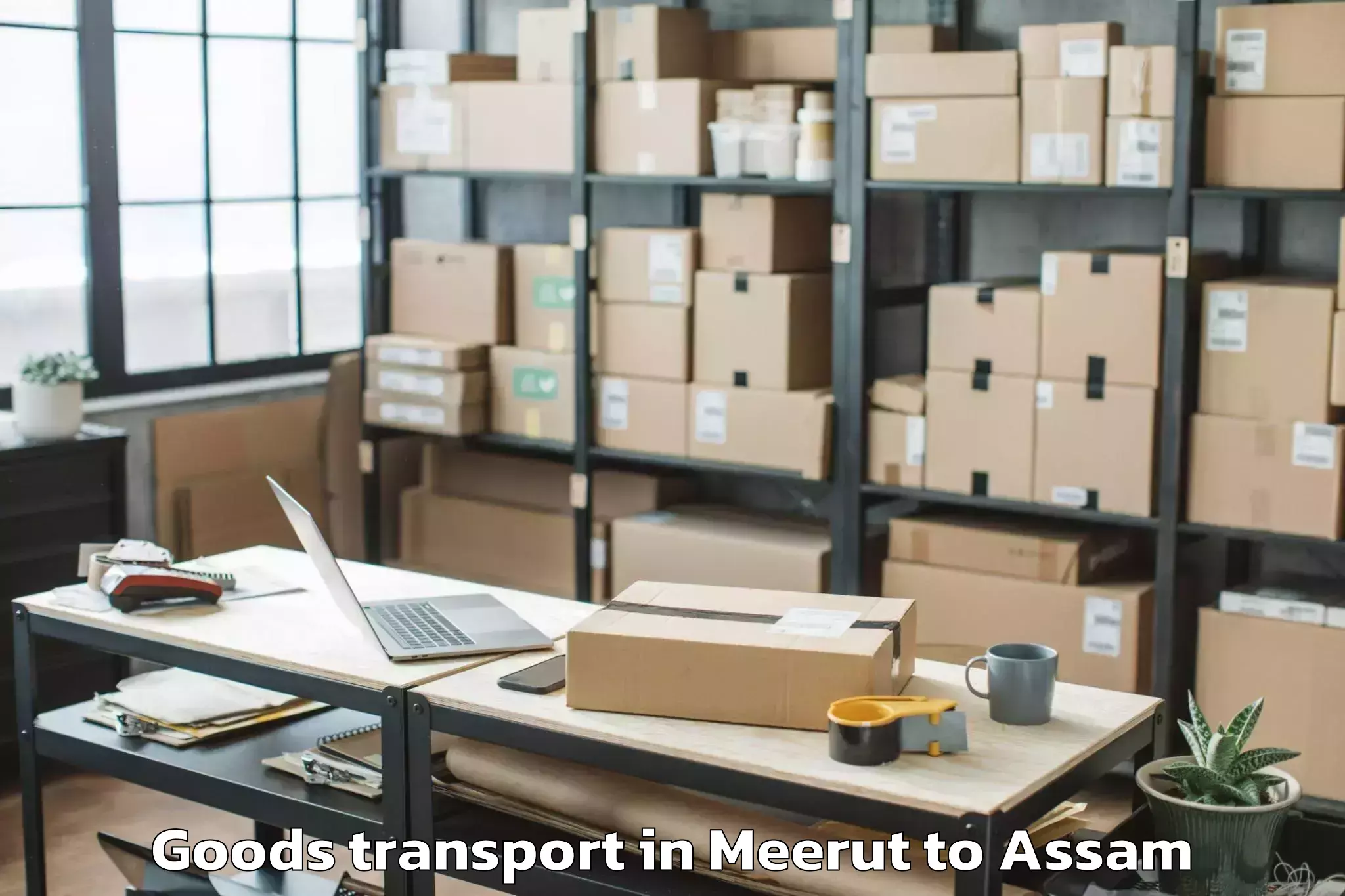 Professional Meerut to Dotoma Goods Transport